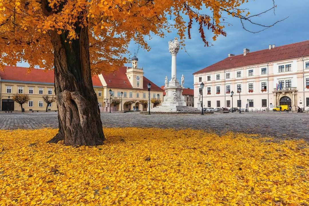 Apartman Aurelius - Private Parking Osijek Ngoại thất bức ảnh